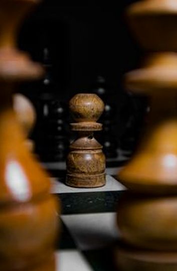 review SV388
